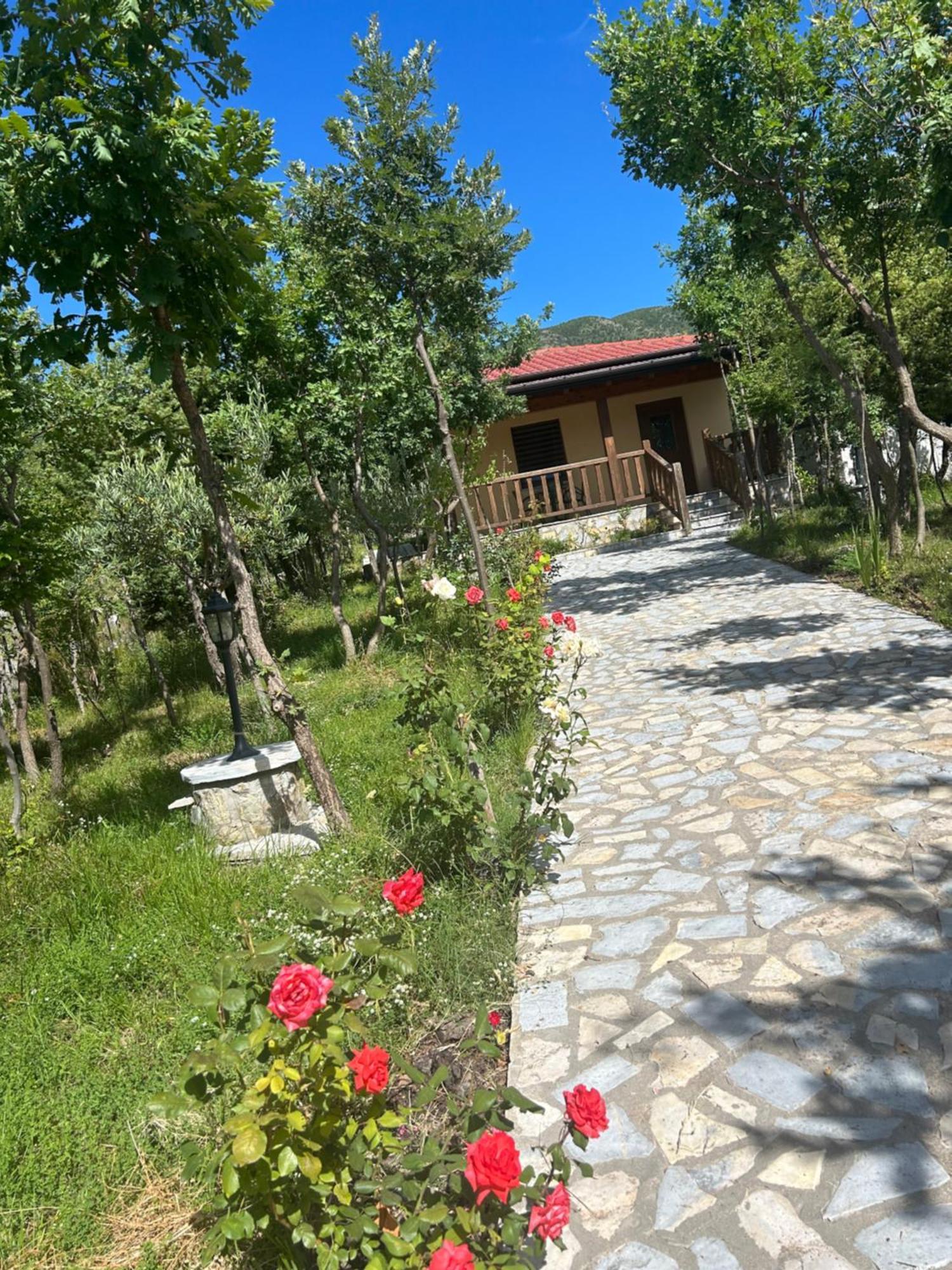 Lezhë Hani I Leks Agroturizem מראה חיצוני תמונה